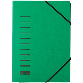 PAGNA elastomap, A4, 3 flappen, 25 stuks, groen