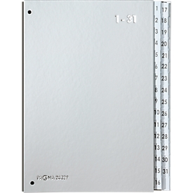PAGNA Pultordner Silver, für DIN A4, 1 - 31, 32 Fächer, silber metallic
