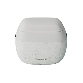 Panasonic Herrenrasierer Premium Series 900s ES-PV6B