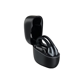 Panasonic RB-F10DE - True Wireless-Kopfhörer