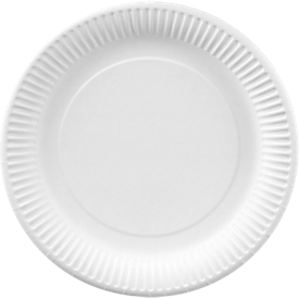 Paper plate, white, 230 mm, 100 pieces