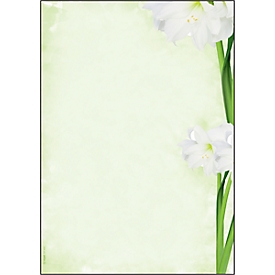 Papier à motif fleur verte Sigel, A4, 90 g/m², Motif fleuri, 25 feuilles