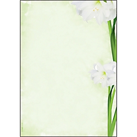 Papier à motif fleur verte Sigel, A4, 90 g/m², Motif fleuri, 25 feuilles