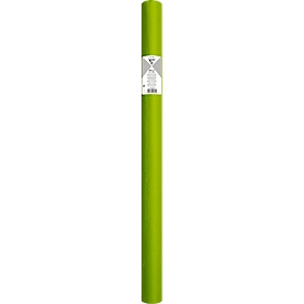 Papier de soie Clairefontaine, 500 x 750 mm, résistant à l'eau, plié, 24 feuilles, vert pomme