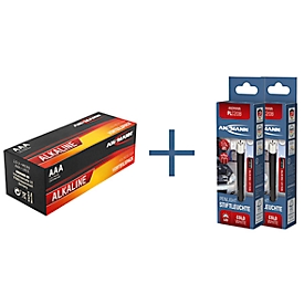 Piles Ansmann® LR03, Micro AAA, tension 1,5 V, 40 pièces + 2 lampes à crayon PLC20B, piles incluses, argent-noir
