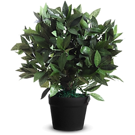 Planta artificial PAPERFLOW, de PE, verde, incl. maceta de plástico, laurel, 500 mm