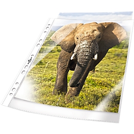 Pochette perforée Business DURABLE, format A4, ouverture sur le dessus, 100 p., nervuré, transparent