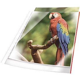 Prospekthülle Durable, mit rotem Rand, DIN A4, Universallochung, dokumentenecht, 25 Stück, 80 mµ, glasklar