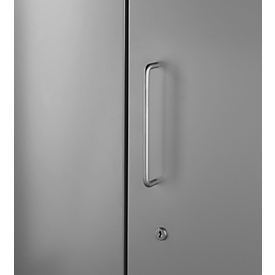 Puerta frontal, para estantería Archivo Color, 2 alturas de archivo, An 800 mm, gris platino