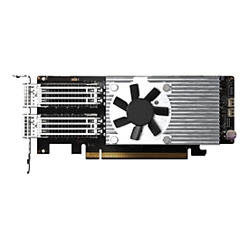 QNAP QXG-100G2SF-E810 - Netzwerkadapter - PCIe 4.0 x16 Low-Profile - 100 Gigabit QSFP28 x 2 - für QNAP TS-H2490FU