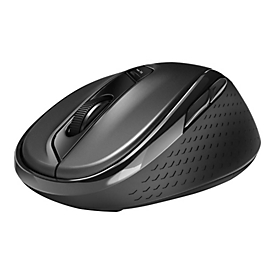 Rapoo M500 - Maus - Für Rechtshänder - optisch - 7 Tasten - kabellos
