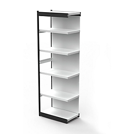 Rayonnage en acier PROGRESS 2000, champ, panneau arrière, H 2250 x l. 750 x P 300 mm, cadre argent