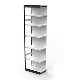 Rayonnage en acier PROGRESS 2000, champ, panneau arrière, H 2600 x l. 750 x P 300 mm, cadre argent