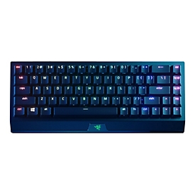 Razer BlackWidow V3 Mini HyperSpeed - Tastatur - Hintergrundbeleuchtung - kabellos - USB-C, 2.4 GHz, Bluetooth - QWERTY