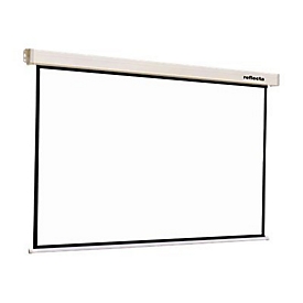 Reflecta Crystal-Line Motor lux - Leinwand - Deckenmontage möglich, geeignet für Wandmontage - motorisiert - 249 cm (98") - 1:1