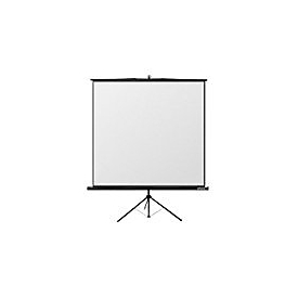 Reflecta CrystalLine Tripod - Projektionsbildschirm mit Stativ - 277 cm (109") - 1:1 - mattweiß