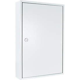 Rottner sleutelkast S 64, met cilinderslot, voor 64 sleutels, B 380 x D 80 x H 550 mm, lichtgrijs