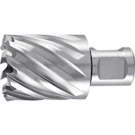 RUKO Kernbohrer D 13 mm HSS, Weldon Ø 19 mm, Schnitt-Tiefe 30 mm, L 63 mm, 4 Zähne