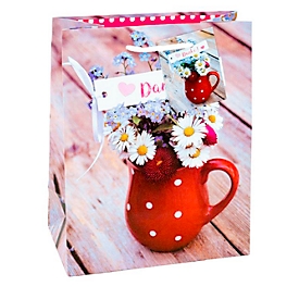 Sac cadeau photo motif merci, format A5, avec cordon de transport et étiquette, L 180 x P 100 x H 230 mm, film PP, rouge, 3 pièces