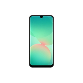 Samsung Galaxy A26 - 5G Smartphone - Dual-SIM - RAM 8 GB / Interner Speicher 256 GB - microSD slot - OLED-Display
