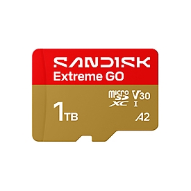 SanDisk Extreme Go - Flash-Speicherkarte - 1