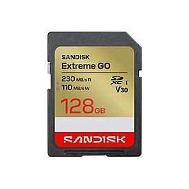 SanDisk Extreme Go - Flash-Speicherkarte - 128