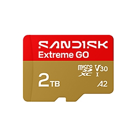 SanDisk Extreme Go - Flash-Speicherkarte - 2