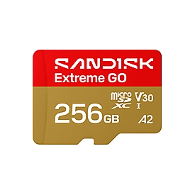 SanDisk Extreme Go - Flash-Speicherkarte - 256