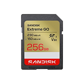 SanDisk Extreme Go - Flash-Speicherkarte - 256