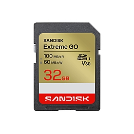 SanDisk Extreme Go - Flash-Speicherkarte - 32