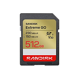 SanDisk Extreme Go - Flash-Speicherkarte - 512