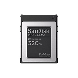 SANDISK PROFESSIONAL SanDisk PRO-CINEMA - Flash-Speicherkarte - 320 GB
