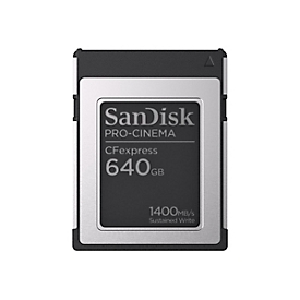 SANDISK PROFESSIONAL SanDisk PRO-CINEMA - Flash-Speicherkarte - 640 GB