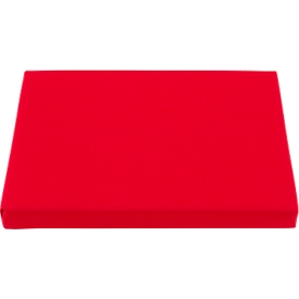 Schäfer Shop : coussin d'assise « Pure » pour couvercles à appui et couvercles à charnières de la série Economy, 400 x 300 mm, mousse, rouge