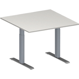 Schäfer Shop  Genius Aanbouwtafel MODENA FLEX, in hoogte verstelbaar, vierkant, T-poot rechthoekige buis, B 1000 x D 1000 mm, lichtgrijs 