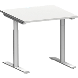 Schäfer Shop Genius desk MODENA FLEX, T-foot round tube, W 800 x D 800 mm, light gray