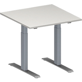 Schäfer Shop Genius Mesa de reuniones MODENA FLEX, ajustable en altura, forma cuadrada, pata en T de tubo rectangular, An 800 x P 800 mm, gris luminoso