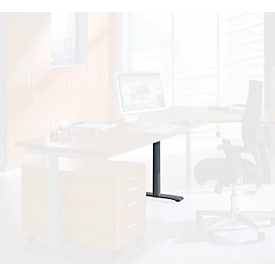 Schäfer Shop Pied de table Genius, raccourci, en acier, adapté au système de table MODENA FLEX (piétement en C/piétement en T), anthracite