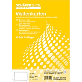 Schäfer Shop Select Cartes de visite, 10 feuilles/100 unités 250 g SSI