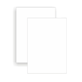 Schäfer Shop Select Pack éco. étiquettes multifonctionnelles universelles , diff. tailles, feuilles d'impression A4, 2 x 100 feuilles, 210x297