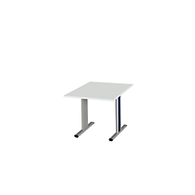 Schäfer Shop Select Planova Basic mesa de reuniones, cuadrada, pie T, ancho 1000 x fondo 1000 x alto 717 mm, aluminio gris claro/blanco RAL 9006 