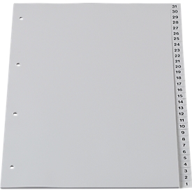 Schäfer Shop Select Rücklaufendes PP-Register, Zahlen 31-1