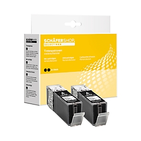 Schäfer Shop Select Sparpaket 2 Stück Tintenpatronen, kompatibel zu PGI-550PG BK XL, schwarz