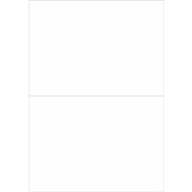 Schäfer Shop Select Universal labels, 210.0 x 148.0 mm, Permanent glue, 200 pieces