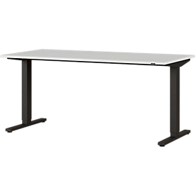Schreibtisch Agenda, einstufig elektrisch höhenverstellbar, T-Fuss, B 1600 x T 800 x H 730-1200 mm, lichtgrau/schwarz
