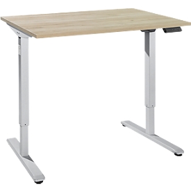 Schreibtisch, elektrisch höhenverstellbar, Rechteck, T-Fuss, B 1200 x T 800 x H 755-1255 mm, Wildeiche/weissalu + Memory-Bedienpanel, Kabelkanal