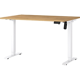 Schreibtisch Profi 2.0, elektrisch höhenverstellbar, B 1200 x T 800 x H 710 - 1190 mm, Grandson-Eiche/weiß