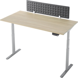 Schreibtisch, Rechteck, elektrisch höhenverstellbar, T-Fuss, B 1600 x T 800 x H 620-1280 mm, inkl. Memory Master + Tischtrennwand, Eiche-Dekor/silber