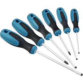 Screwdriver set 810/6 6 pcs. slotted/PH HAZET