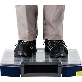 Sortimentskoffer RAACO boxxser, 9 Fächer mit Profilraster, B 241 x T 225 x H 55 mm, Polypropylen